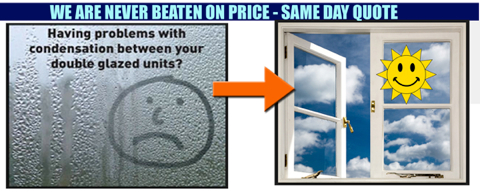 Pasted Graphic 1